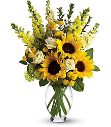 Here Comes The Sun from Designs by Dennis, florist in Kingfisher, OK